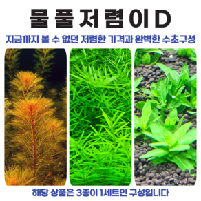 [물풀정원] 수초 왕초보를 위한 [물풀저렴이D] 3종(13줄기) 수질정화 어항 은신처 구피 새우, 1세트