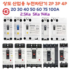 상도 산업용 누전차단기 2P 3P 4P 20A 30A 40A 50A 60A 75A 100A, 5.누전2P20A 5Ka, 1개