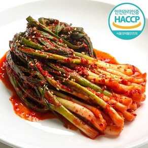 HACCP인증 수입산 쪽파김치 5kg