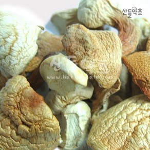 아가리쿠스버섯 500g, 1개