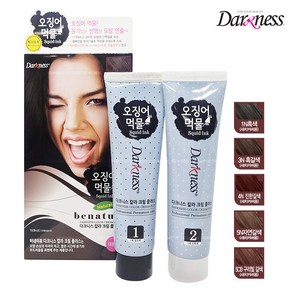 오징어먹물 다크니스 칼라염모제100g + 산화제100g, 4N(진한갈색), 1개