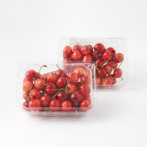 탐라왕 제주산 체리 / 레이니어, 1박스, 600g (300gx2팩)