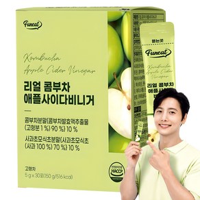 퍼니트 리얼 콤부차 애플사이다비니거, 5g, 30개입, 1개