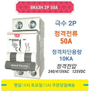 LS산전 BK63H 2P50A 분전반용 배선용차단기 BKM-b 2P50A, 1개