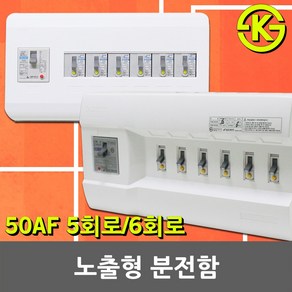 노출형 분전반 분전함 5회로 6회로 차단기함 배전함 배전반 완전조립형 누전차단기 배선차단기 5분기 6분기 30AF 50AF 차단기박스 차단기 국산 전기 차단기포함 3회로 4회로