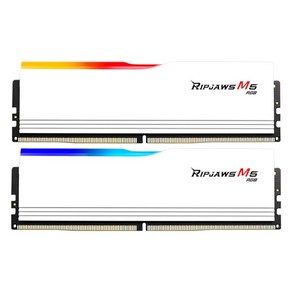 [G.SKILL] DDR5 PC5-51200 CL32 RIPJAWS M5 RGB 화이트 [32GB (16GB*2)] (6400), 2개