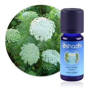 프랑스 오샤디 Oshadhi 아로마 에센셜 오일 Ammi visnaga (Khella) 5ml 1010, 1개