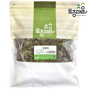 토종마을 [토종마을]국산 민들레(포공영) 300g, 1개