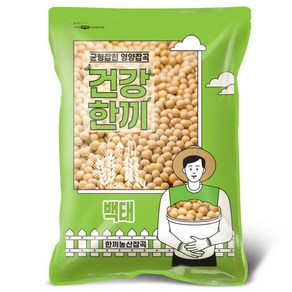 국산 백태 4kg 2024년산 햇곡 메주콩 대두 두부콩 노란콩, 1개