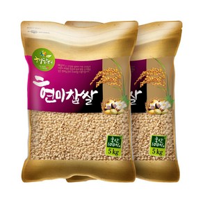 현대농산 국산 현미찹쌀 찰현미 10kg (5kgX2봉), 5kg, 2개