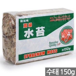 세인화분 뉴질랜드 칠레 수태 75g 150g - 천연수태 석부작 재료 풍란 토피어리 이끼 몬스테라 수태봉 고급 난 분재 화분 목부작 분경, 1개