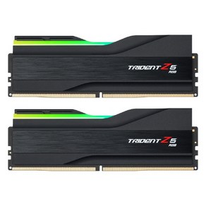 G.SKILL G.SKILL DDR5-6400 CL32 TRIDENT Z5 RGB J 패키지 (96GB(48Gx2)), 2개