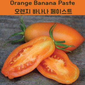 Oange Banana Paste 오렌지 바나나 페이스트 소스토마토 희귀토마토 교육 체험용 세트, 1개