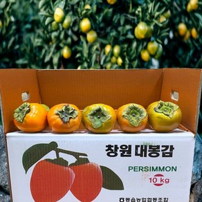 첫 출하 농랑부랑 경남 진주 대봉감 5kg 10kg 특대과 안전포장, 대봉감 5kg X  19~24개 1박스, 1박스