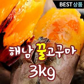 지애랑 산지직송 해남 베니하루카 꿀고구마 무농약, 1박스, 3kg(중)