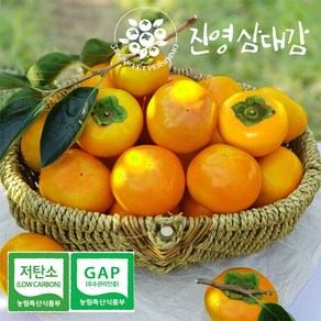 진영단감 5kg(26~30과) GAP인증 저탄소인증 진영삼대감, 1개