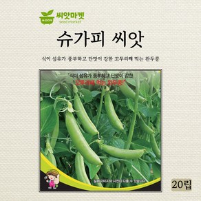 세계종묘 슈가피 완두콩 씨앗 20립, 1개