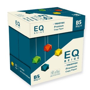 EQ BEIGE 이큐 베이지 80g 비파이브용지 1박스 500매X5권 미색용지 b5용지 b5복사용지, 2500매, B5