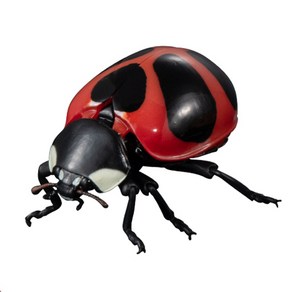 큰무늬무당벌레 02 Coccinella Hasegawai - 반다이 생물대도감 어드밴스 2탄 곤충 피규어 모형, 1개