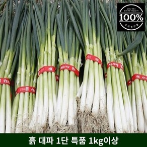 국내산 흙대파 특품 1단 1kg 이상, 1개