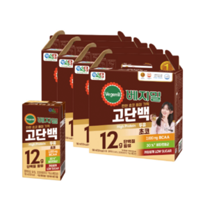 [베지밀] 고단백두유 초코 190mlx16팩x4박스 (64팩), 190ml, 64개