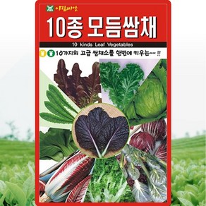 아람종묘 10종모듬쌈채 씨앗 1000립 10가지 혼합 쌈채씨 종자, 1개