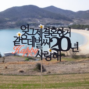 스프링데일 결혼 기념일 20주년 여행 부부 토퍼, 1개