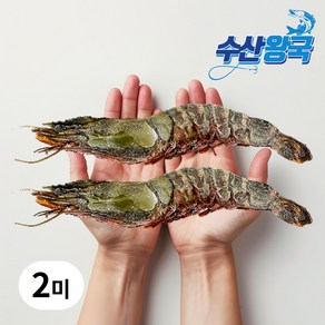 수산왕국 블랙 킹타이거새우 얼룩새우 2미 320g내외