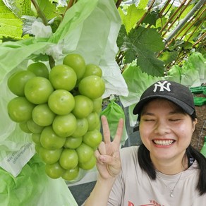 영동 김천 샤인머스켓 두송이 1kg 실속형, 1박스