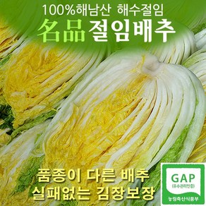 (비싼 품종으로 단맛나고 아삭한 식감) 산지직송 해수절임 명품해남절임배추 20kg, (절임배추 도착날짜 입력요망), 1개