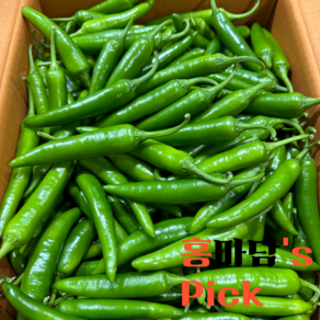[홍마담's Pick] 아삭한 모닝고추 특급, 1개, 300g
