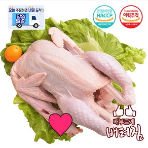 (당일출돼지) 국내산 특대 노계닭 페계닭 쫄깃한 식감, 1.5kg, 1개