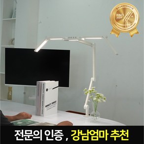 룩스베러 시력보호 삼성 led 스탠드 학습용 책상 스탠드 공부 조명 독서등, 화이트, STDL04클램프형