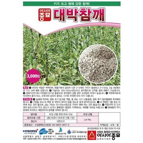 대박참깨 무코팅 3000립 아시아종묘 참깨씨앗, 1개