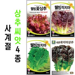 사계절용 상추씨앗 4종 세트 봄 가을 9월 채소씨앗 파종 종자