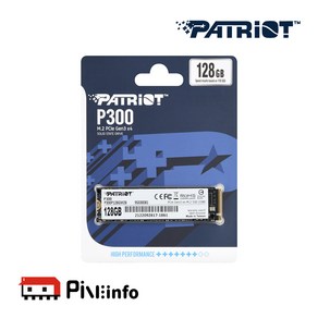 패트리어트 P300 128GB M.2 NVMe 3D TLC 파인인포