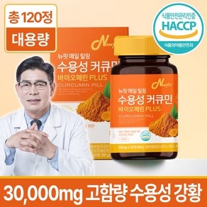 뉴핏 매일 힐링 수용성 커큐민 바이오페린 플러스 식약청인증 강황, 1개, 120정