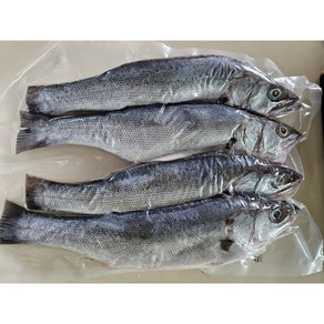 완도 자연산 반건조 농어 2마리(마리당 25~30cm 250~300g), 2마리 350g, 2개