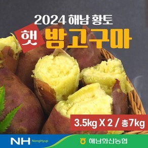 24년 화산농협 해남 황토 햇 밤고구마 7kg3.5kg+3.5kg[34531621], 2개