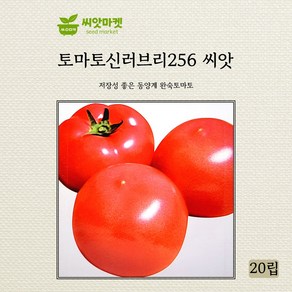 아시아종묘 신러브리256 토마토 씨앗 20립, 1개