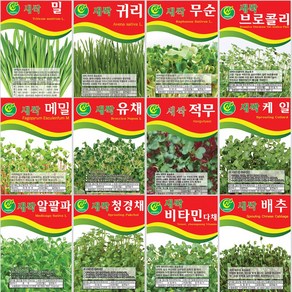 [씨앗모음] 대용량 새싹씨앗 500g 1kg, 15.새싹적무 500g, 1개