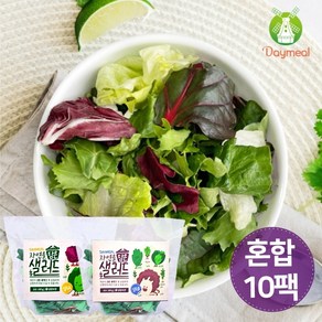 데이밀 자연을담은 샐러드 실속 혼합구성 100g x 10팩 국내산 야채믹스, 10개, 드레싱5종 혼합 10개