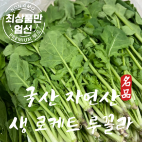 국산 로케트 루꼴라 샐러드용 생 루꼴라 1kg, 1개