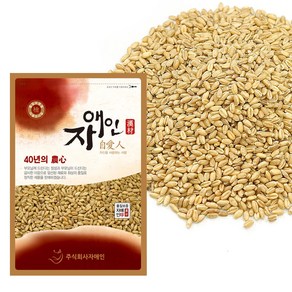 자애인 국산 통밀 500g 밀 우리밀 곡물 잡곡, 1개