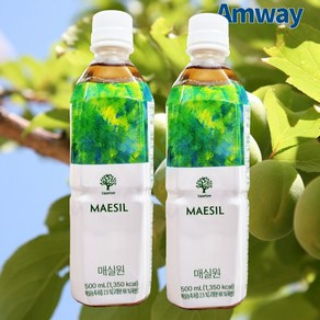 암웨이 지리산의 싱그러움 담은 라임트리 매실원 1L X 2병, 500ml, 2개