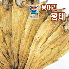 [용대리] 황태포 5미 특대/42~44cm, 1개, 상세 설명 참조