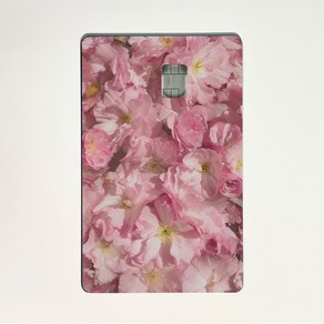 아르토르 Cherry blossom 디자인 카드 스킨 리무버블 스티커