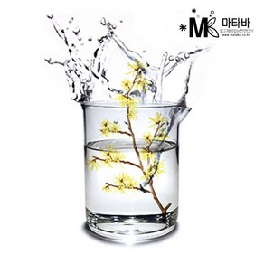 마타바 피부촉촉 위치하젤 워터 100ml, 1개