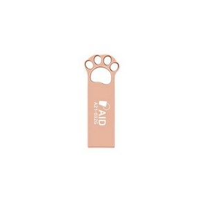 AID USB 2.0 A21 로즈골드, 32GB