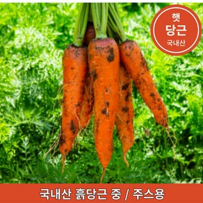 국내산 햇 흙당근 최상품 제주도 강원도 경남 중 주스용 3kg 5kg 10kg, 중(주스용), 1kg, 1개